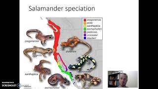 Allopatric and Sympatric Speciation