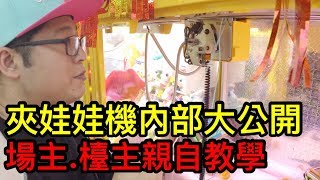 夾娃娃機台主必看!換線 換爪教學【Bobo TV】 ft.含羞草