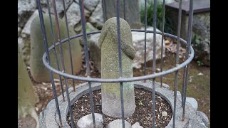 西台天祖神社のおしわぶき様