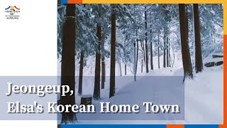 Jeongeup, Jeollabuk-do ❄ Elsa's Korean Home Town