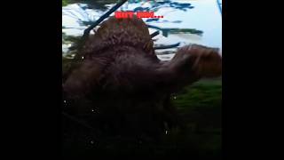 Spinosaurus Edit | #edit#jurassicworld#spinosaurus#capcut#shorts#viral#fyp