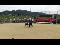 ⑥和歌山県橋本市での紀ノ川河川敷合戦祭り2015 5 24