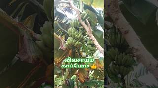 விவசாயம் காப்போம் 👍