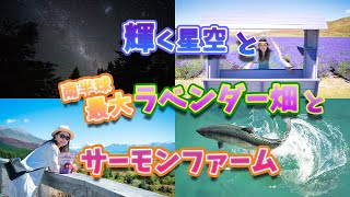 【海外生活】輝く星空／南半球最大ラベンダー畑／サーモンファーム／ニュージーランド南島／ Shiny stars / Biggest lavender farm / Salmon farm / NZ