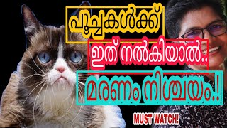 Beware! | Paracetamol Causes Poisoning In Cats | Cats Safety | Nandas Pets\u0026Us | Vanaja Subash