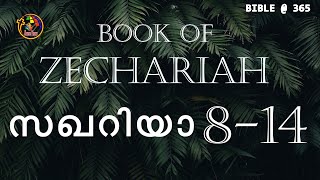 സഖറിയ  8-14  | Zechariah 8-14   |  Bible @ 365 | Day 281