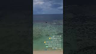 3박4일 관광없이 즐거운 #호캉스 #압도적인 스노클링 클래스