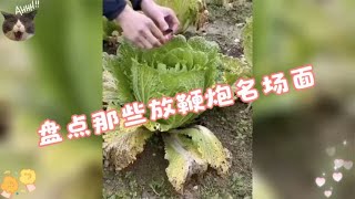 盘点那些放鞭炮名场面，这火力年兽不敢来，奥特曼都得吓尿裤子