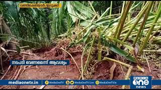 വണ്ടിപ്പെരിയാർ 62 ആം മൈൽ സ്വകാര്യ എസ്റ്റേറ്റിൽ കാട്ടാനകൂട്ടം ഏക്കറുകണക്കിന് കൃഷി നശിപ്പിച്ചു