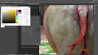 Adobe Photoshop Tutorial 36 - Using a Wacom also Drawing pt 1