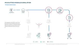 How Picus Works?