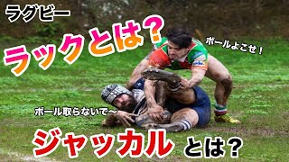 ラックとは？ラグビーを知らない人が1番理解できていない部分を解説