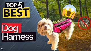 ✅ Top 5: Best Dog Harnesses For Walking 2022 [Tested & Reviewed]