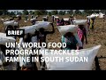 South Sudan: UN's World Food Programme airdrops supplies in bid to 