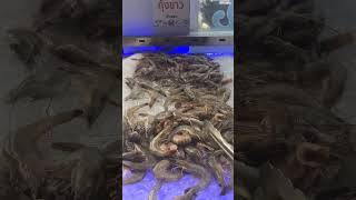 Kodtalay seafood buffet in Bangkok Thailand 🇹🇭