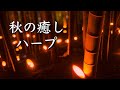 秋の物語が始まりそうな、癒しの音楽【リラックスBGM】