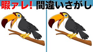 【間違い探しクイズ】まちがい探しで老化防止・アハ体験！3つのまちがいを90秒で探してね【脳トレ】