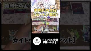 【新弾】新時代の主役を1カートン開封した結果がヤバすぎた！ww【ワンピースカード】