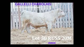 Lot 50 RUSS 20M