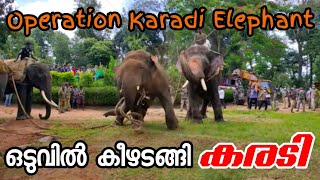 കരടിയാനയെ വീഴ്ത്തി വനംവകുപ്പ് | karadi elephant attack sakleshpura | karadi elephant capture