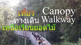 เที่ยวทางเดินเหนือเรือนยอดไม้ Canopy Walkway เชียงใหม่