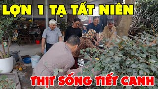 THỊT LỢN 1 TẠ TẤT NIÊN • Lòng Lợn Thịt Sống Tiết Canh Làm 20 Kg Giò