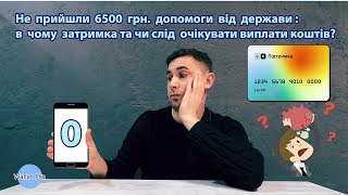 Не прийшли 6500 грн. допомоги від держави : в чому затримка та чи слід очікувати виплати коштів?