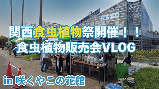 関西食虫植物愛好会Vlog 夏の販売会イベント「虫を食べる植物展」(in咲くやこの花館)