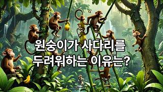 Banana and monkey on ladder experiment