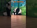 大熊猫 大熊猫萌萌 大熊猫妹猪 panda 萌萌的眼神说明一切