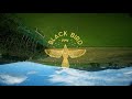 BLACK BIRD FPV - FPV FREESTYLE - Smooth VIOLENCE Energy