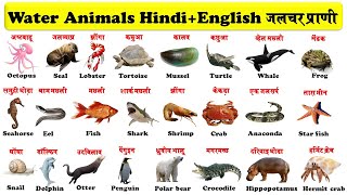 Water Animals Name in Hindi and English | पानी में रहने वाले जीवों के नाम | Water Animals Pdf |