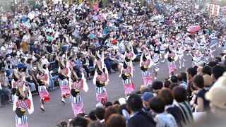 💃🏼阿呆連🕺2022 阿波おどり✨Awa Odori (Awa Dance)⭐3日目【第1部🔷18:00～メディアドゥ・ガンバロウズ藍場浜演舞場】2022年(令和4年)8月14日(日)