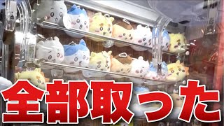 【ちいかわ】【ちいかわクレーンゲーム】ついにコンプ！！検証結果一番かかったのはシーサーでしたwww【ちいかわぬいぐるみパスケースポーチ】