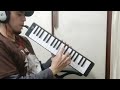 Camino  - Cover Zona Ganjah - Melodica