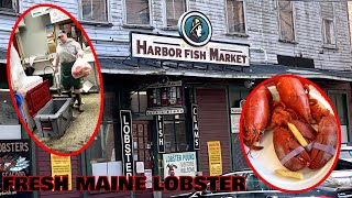 Harbor Fish Market ***PORTLAND MAINE*** (We ate 25 Fresh Lobsters, 3* of Fresh Haddock, \u0026 Flounder)