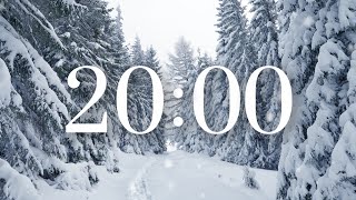 20 Minute Winter Snow Timer