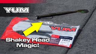 The Action On This Plastic Worm Is Crazy! (Bass Fishing)