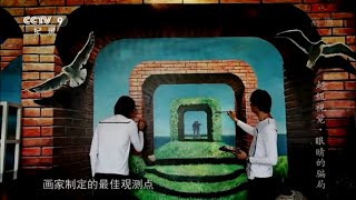 超逼真的写实3D画竟然是画出来的？形态惟妙惟肖极具视觉冲击力《超级视觉》第1集【CCTV纪录】