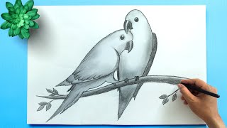 BIRD DRAWING || How to Draw Parrots (Love Bird Drawing)|| Easy Bird Pencil Drawing