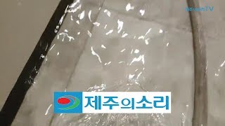 서귀포 남원에 시간당 40mm 기습 폭우...차량 고립·침수