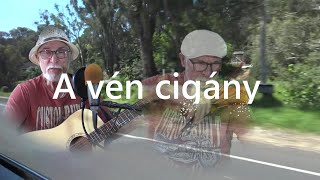 A vén cigány