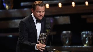 Leonardo DiCaprio Had the Best Night at the Oscars 2016