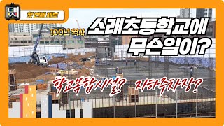 대신전해봐썹ep.7 소래초 학교복합시설! 그게 뭔데???/ 100년 역사/소래초/지하주차장/주민편의시설/너나들이/@흥행TV_시흥도시공사/시흥도시재생지원센터/제보채널/플라타너스 나무