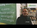 greenvet incontra dario dell anno hobby uccelli fiera oltremare napoli