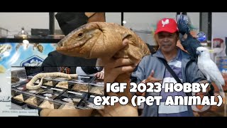 IGF 2023 HOBBY EXPO VLOG PART 2 (PET ANIMALS)