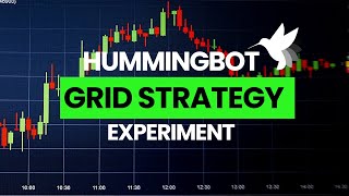 Grid Strategy Experiment