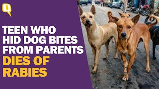 Ghaziabad Teen Dies of Rabies A Month After Dog Bite As Virus Went Undetected | The Quint