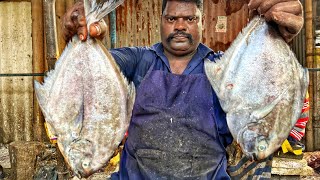 KASIMEDU 🔥 SPEED SELVAM | BIG SIZE BLACK POMFRET FISH CUTTING VIDEO | 4K VIDEO | KM FISH CUTTING