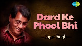 Dard Ke Phool Bhi | Jagjit Singh Ghazals | Javed Akhtar | Silsilay | Sad Ghazals | Old Songs